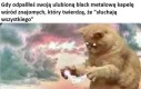No to się jeszcze okaże