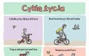 Cykle życie