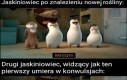 Metodą prób i błędów...