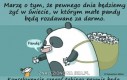 Panda dla każdego!