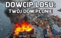 Los lubi płatać figle
