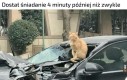 Czyli zasłużona kara