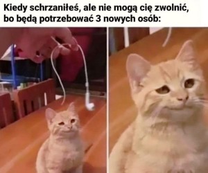 Jestem bezpieczny
