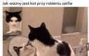 Kąt*