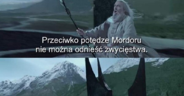 Lew Nie Sprzymierza Się Z Kojotem Lew nie sprzymierza się z kojotem - Jeja.pl