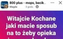 Proszę o protipy