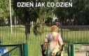 Dzień jak co dzień