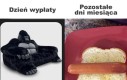 Moje zarządzanie finansami w pigułce