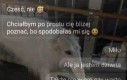 Każdy ma swoje dziwactwa
