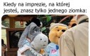 Przylepiec