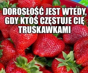 Jesteś już na tym etapie?