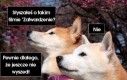 Słyszałeś?
