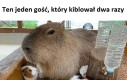Wyraźnie starszy