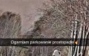 Jest na co trzecim egzaminie na prawo jazdy