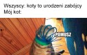 Ratunku