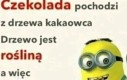 Ktoś to musi robić