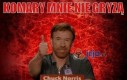 Chuck Norris i komary