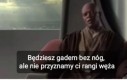 W galaktyce pełnej węży, ty jesteś tylko padalcem...