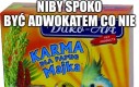 Karma dla papugi