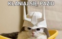 Kłaniaj się, paziu
