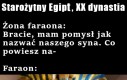 Dynastia nr 20