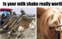 Obrotowy shake o smaku waniliowym