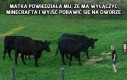 Tak też uczynił