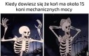 Co za bezsens
