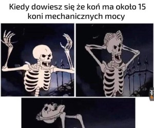 Co za bezsens