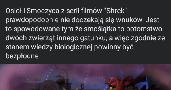 Przykra Sprawa - Jeja.pl