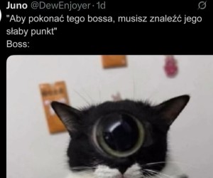 Gdzie też on może być...
