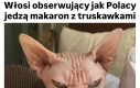 No i co ty robisz?