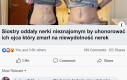Mózgi w tej rodzinie są podobnie wydajne jak nerki