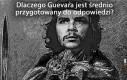Guevara do tablicy!