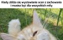 I tak Was wszystkich nie lubię