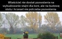 Duży stół