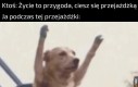 Tak wyglądam