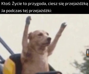 Tak wyglądam