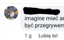 Ironia