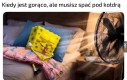 Wiatraczek welcome to