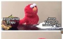 Wybierz mądrze