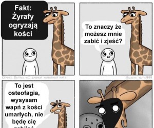 Mają czas