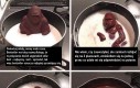 Mądry czekoladowy goryl