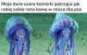 Jeszcze się nie obudziłem