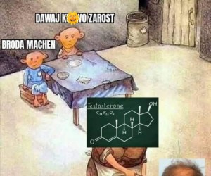 Gdzie mój zarost
