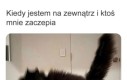 Muszę trochę wyluzować
