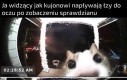 Wiem, że wakacje, ale proszę, nie zabijacie mnie
