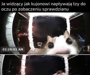 Wiem, że wakacje, ale proszę, nie zabijacie mnie
