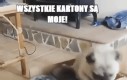 Wszystkie kartony są moje!