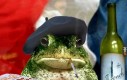 Gdyby Pepe żył we Francji